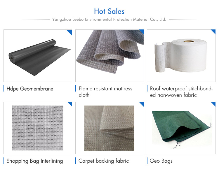 3D Composite Control Drainage Net Geomat Drainage PP Geocomposite Net for Landfill