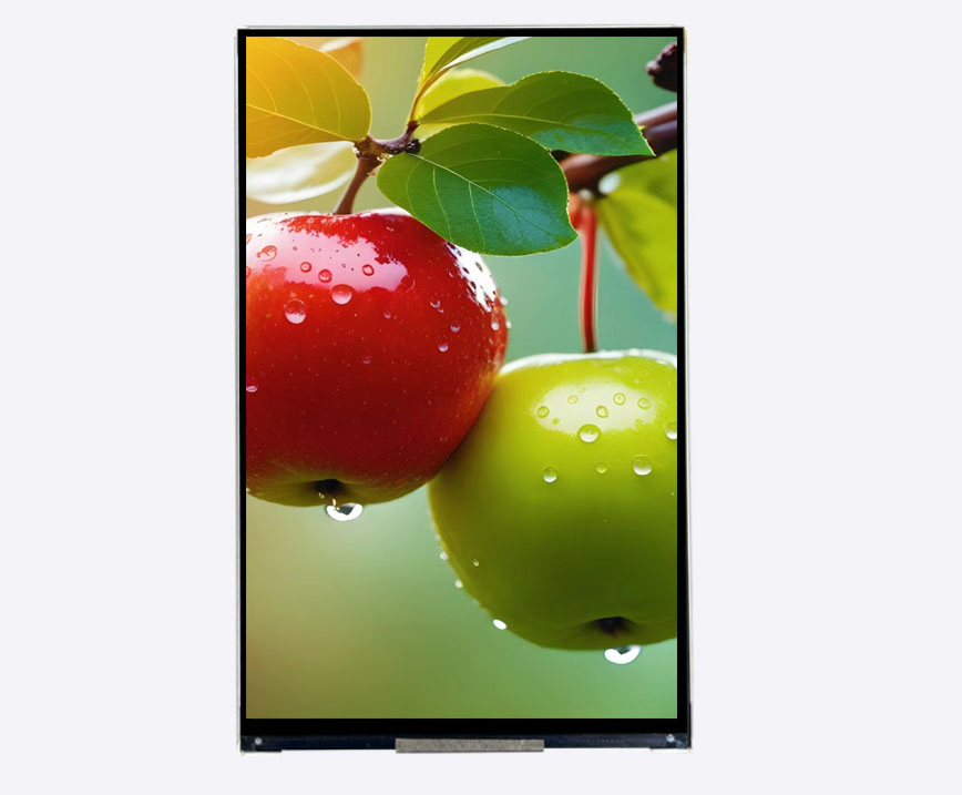 High Resolution 1200*1920DOT 8.0inch Mipi Interface IPS LCD Display Module