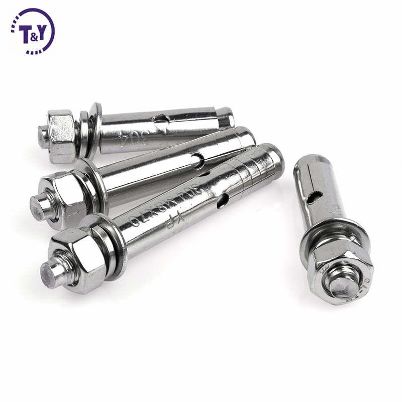 Stainless Steel Fix Bolt Expansion Anchor Wedge Bolts for Building