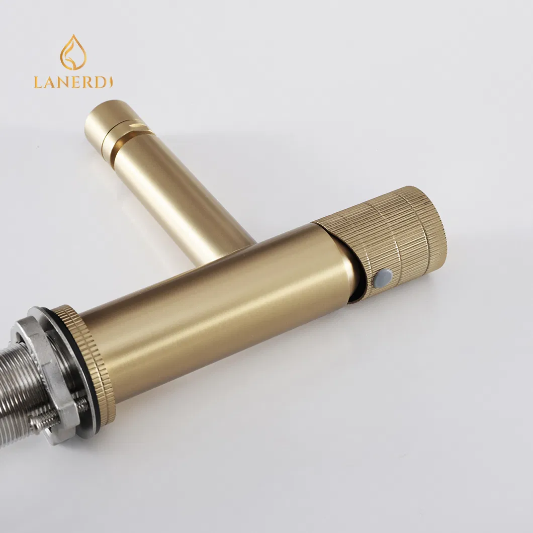 Смеситель для биде с вращающимся изливом, нержавеющая сталь