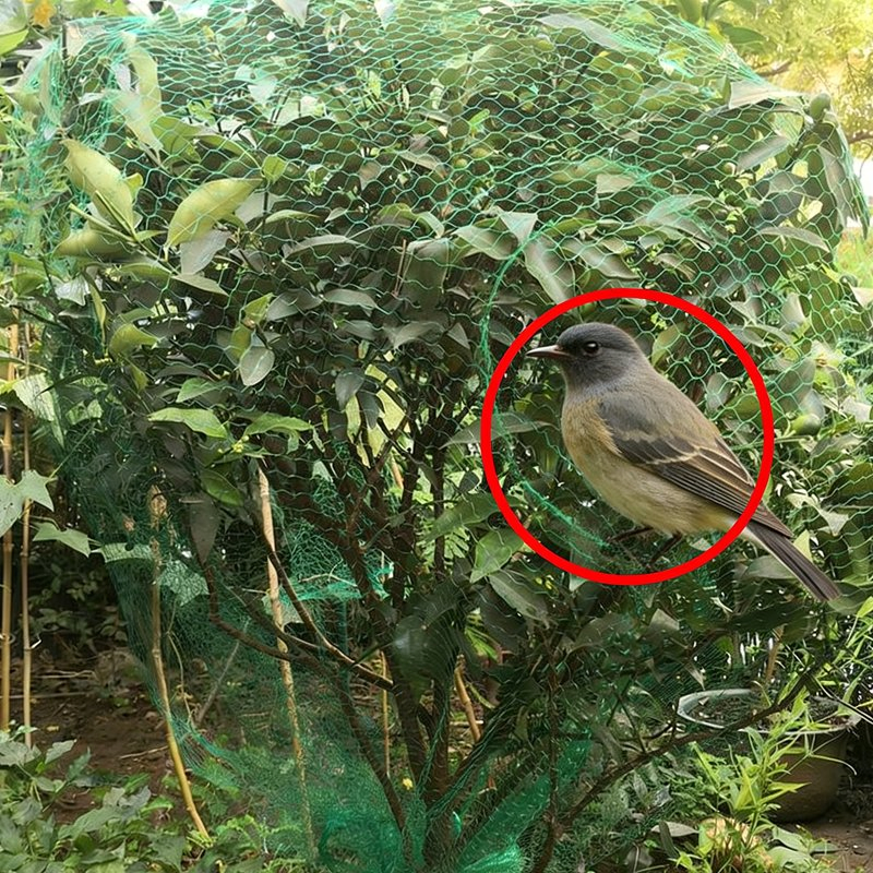 Прочная защитная сетка от птиц для сада и огорода