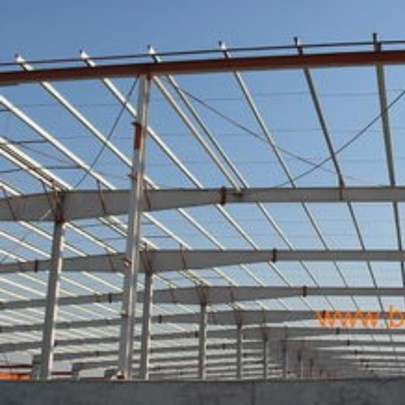 Cheap Steel Structure Chicken Layer House Construction Layout