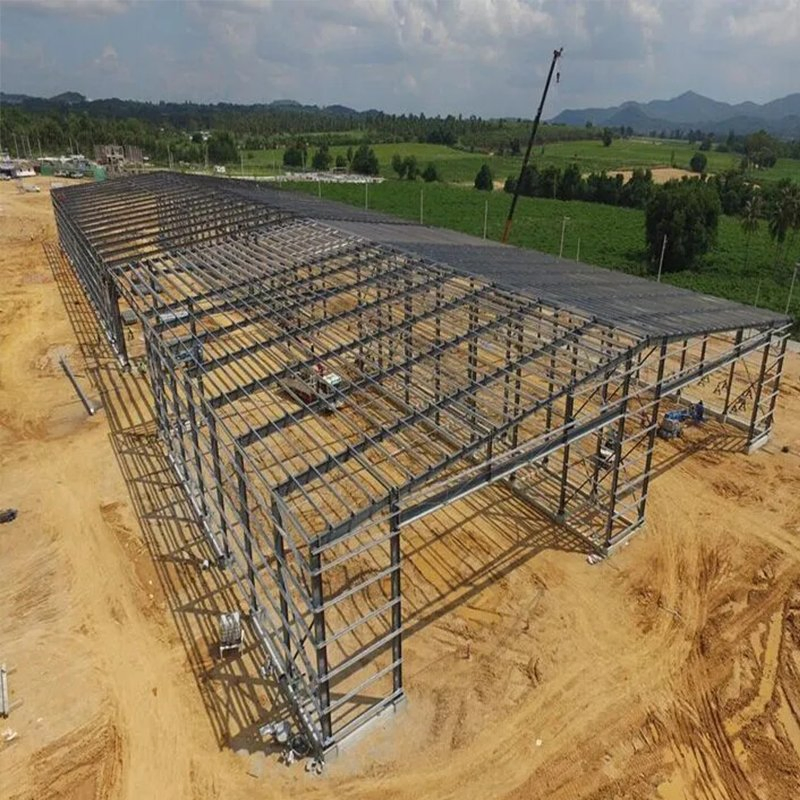1000 Sqm Steel Structure Prefabricated Poultry House Farm Building Design in Philippines