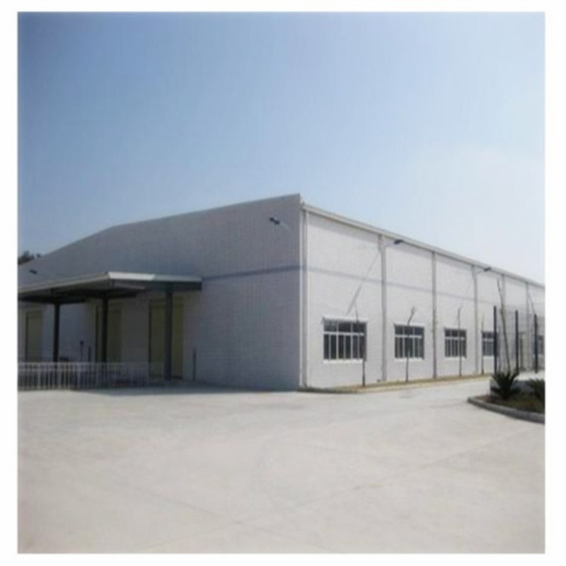 Professional Design Prefabricated Steel Shed Construction Building