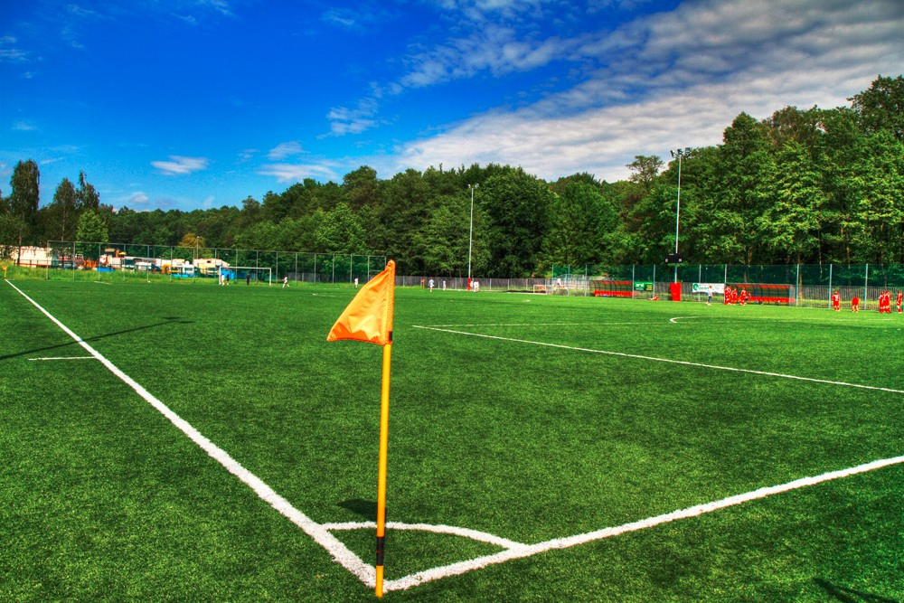 Landscape Artificial Grass for Garden Synthetic Turf for Home
