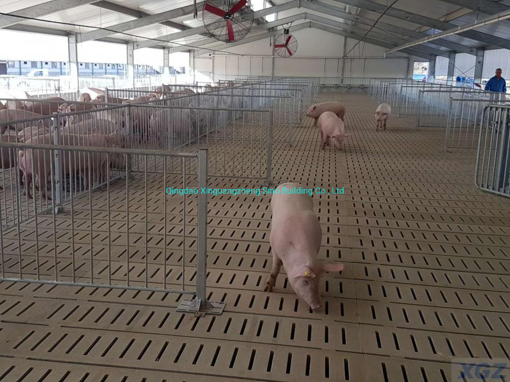 Durable Prefab Light Steel Structure for Industrial Farm Sheds