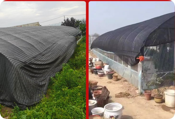 Agricultural Net/Dark Green Sun Shade Net for Agriculture Greenhouse Shade