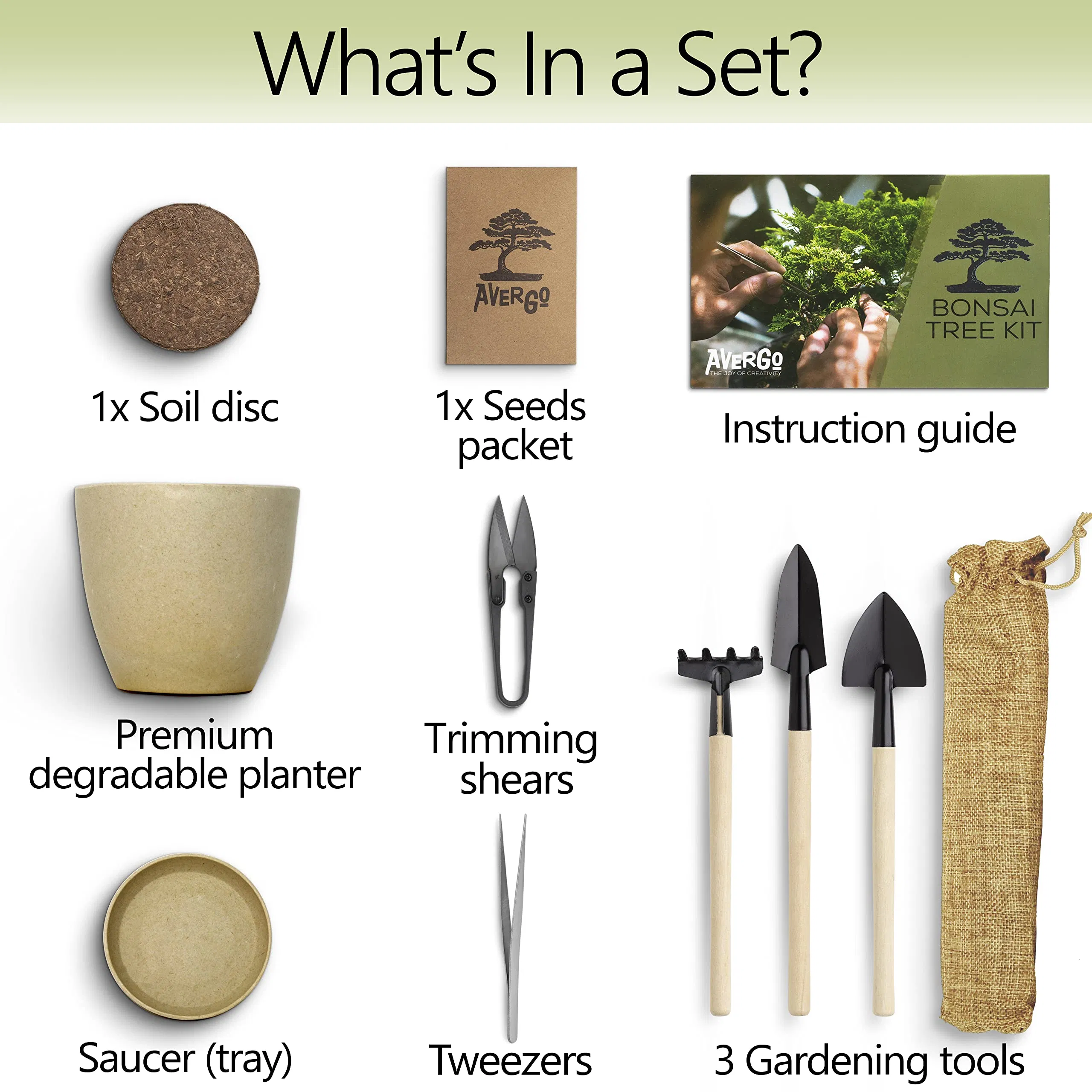 Bonsai Starter Kit W/Seeds Locust Bonsai Tree Complete Indoor Starter Kit for Growing Plants with Bonsai Seeds Tools Planters Gardening Gifts for Woman