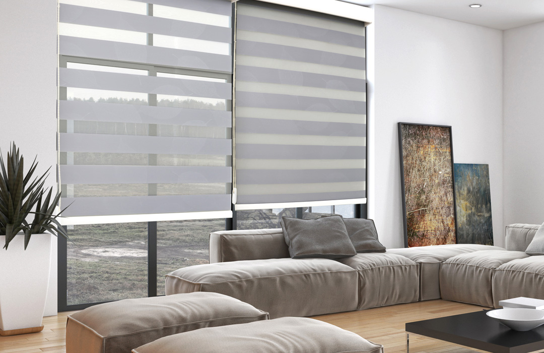 Custom Made Shade Translucent Roller Zebra Blinds From China