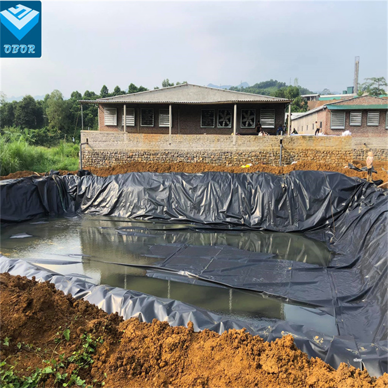 Waterproof Plastic HDPE Black Geomembrane Pond Lining for Wastewater Treatment