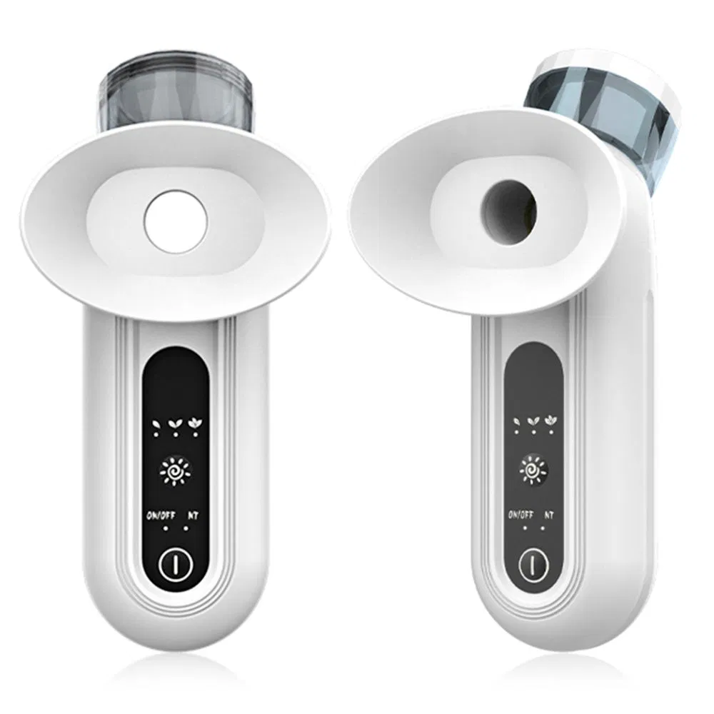 Cold and Hot Personal Care Nano Eye Face Mist Sprayer Handheld Facial Skin Beauty Salon Device Equipment