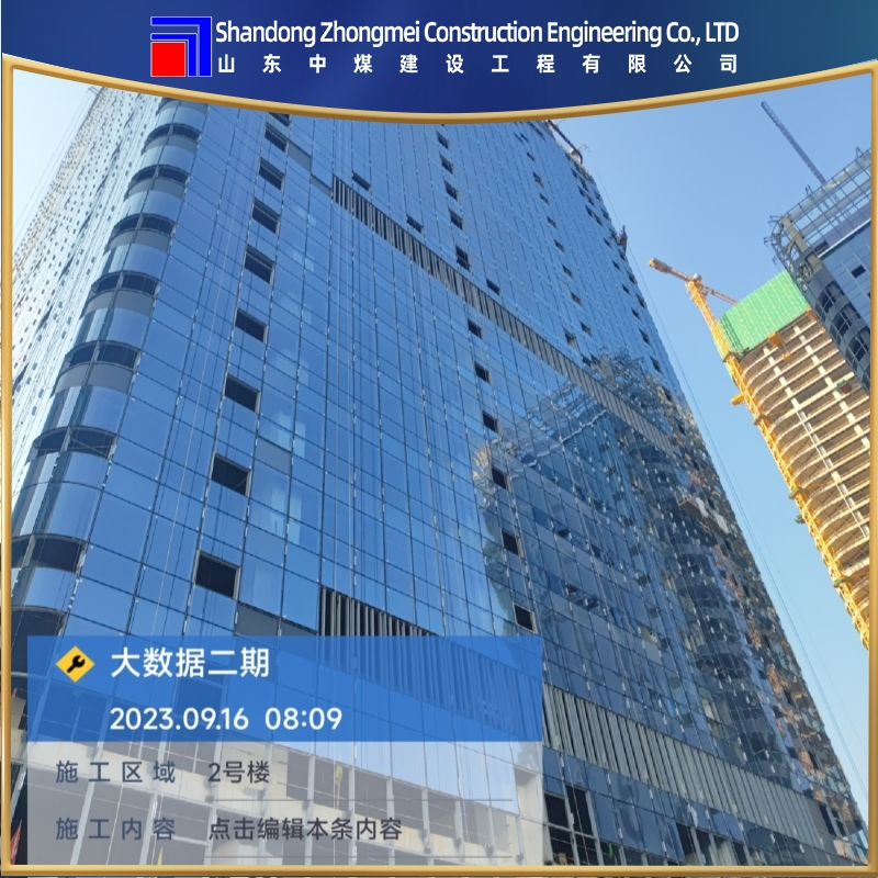 Modern Architectural Curtain Wall Glass Solutions for Builders