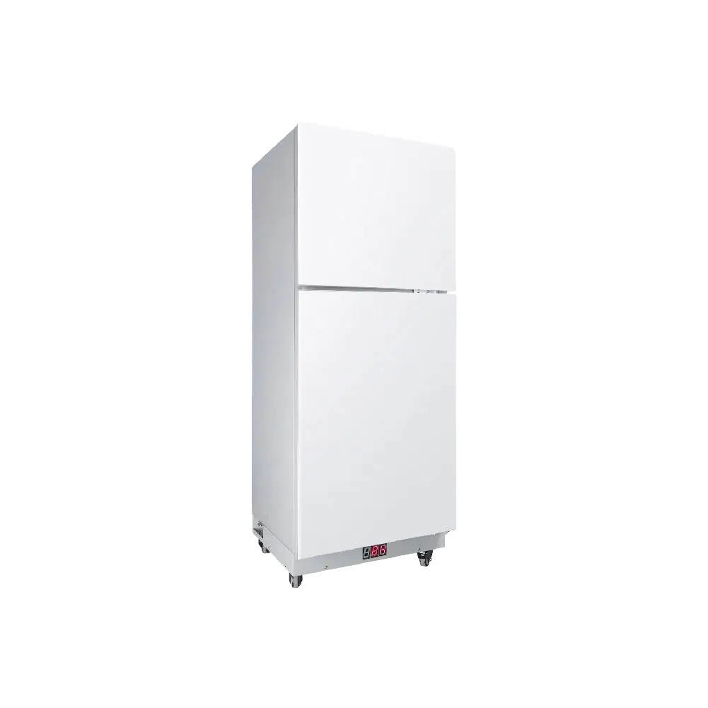 Commercial Mini Refrigeration Equipment Solar Home Compact Fridge Freezer 12V DC Car Double Door Refrigerator