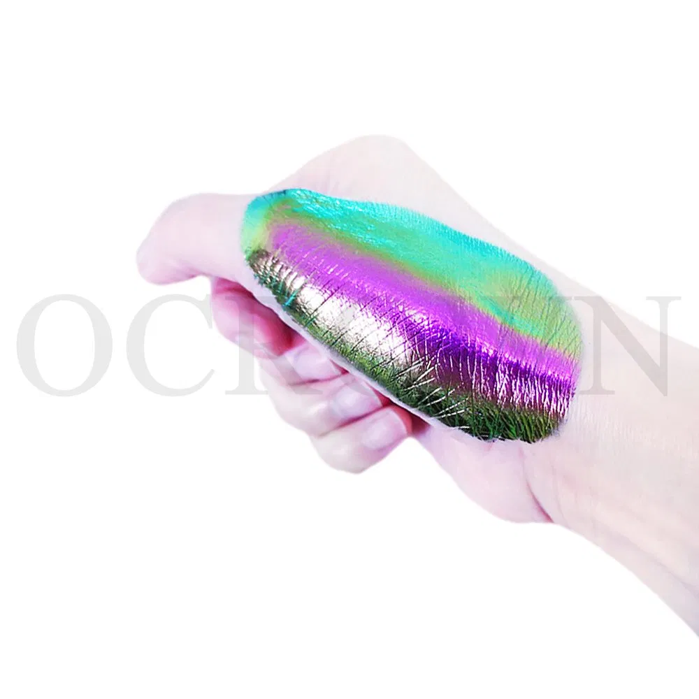 Chrome Chameleon Pigment Powder Color Shift Car Paint Pigment for Auto Paint China Supplier