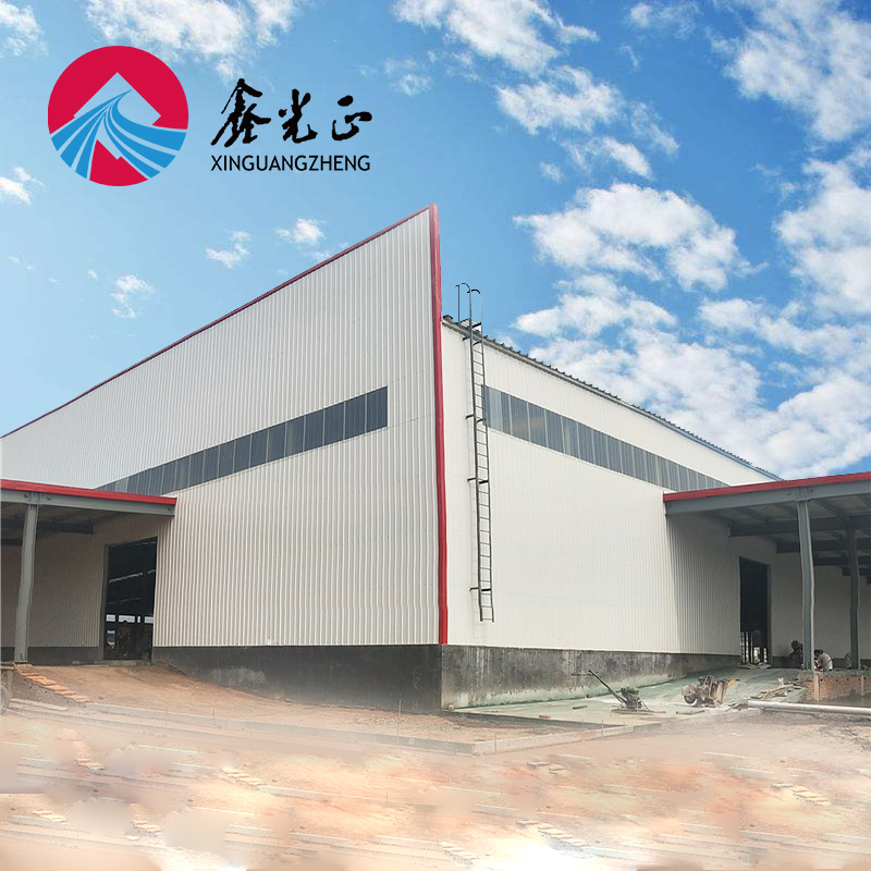 Universal Column Hangar Metal Shed Construction Steel Building and Structures