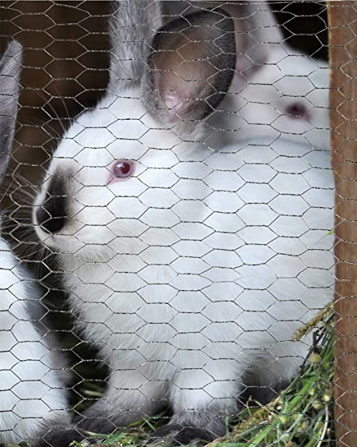 Hexagonal Mesh Fence Chicken Wire/Chicken Wire Netting/Rabbit Wire Netting