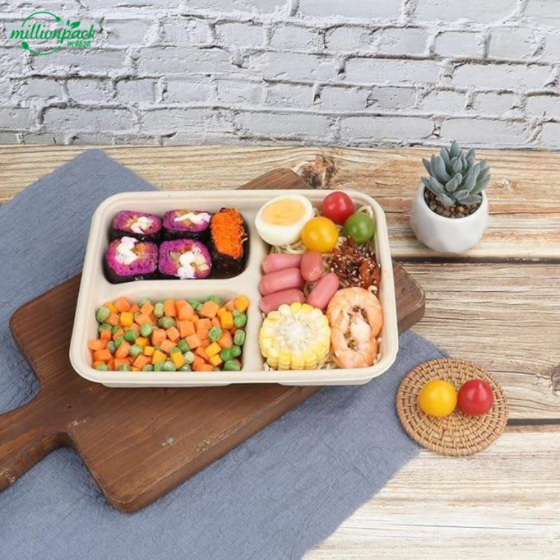 Biodegradable Lunch Container Vegan Meal Box with Divided Sections for Sauce Separation
