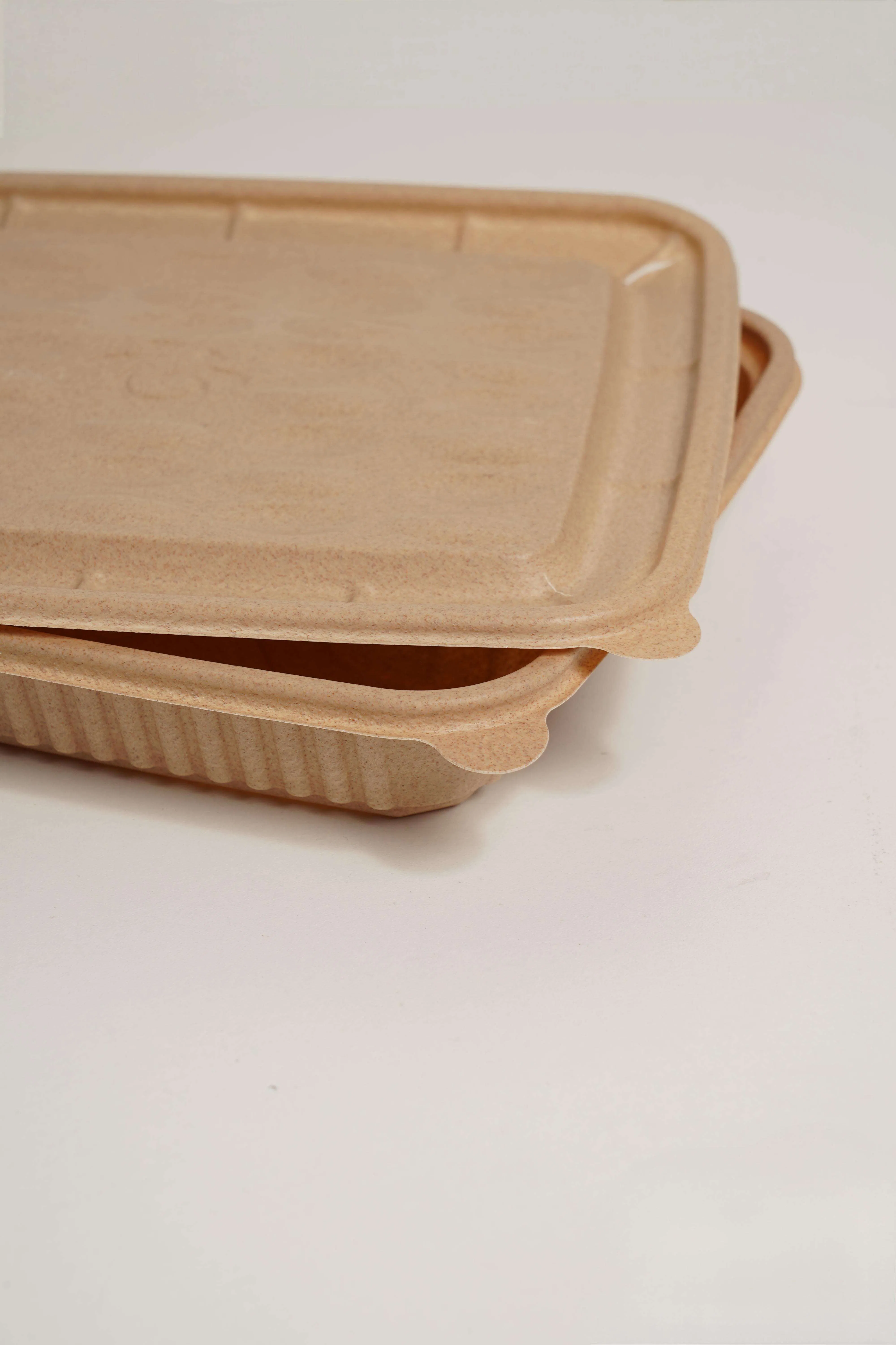 Vibrant and Fun Lunch Box for Kids - Perfect for School