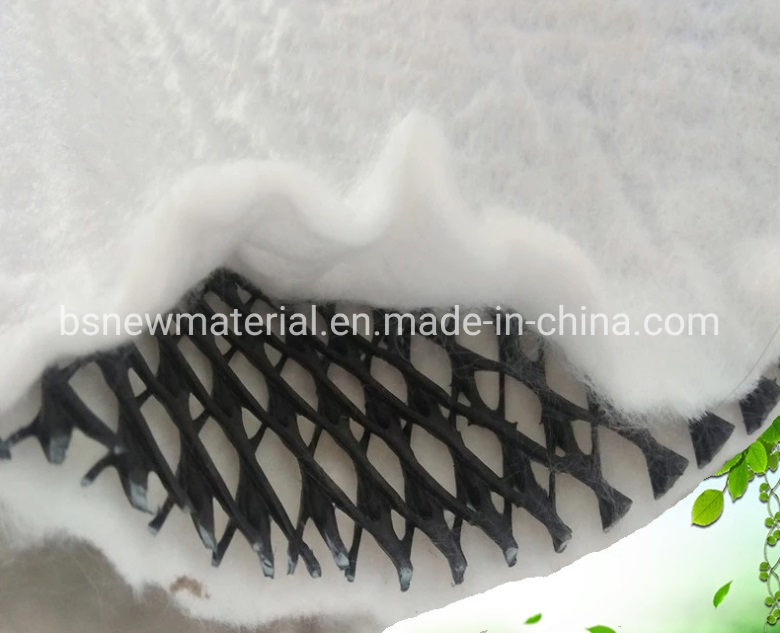 Plastic HDPE Geonet for Retaining Wall Good Price