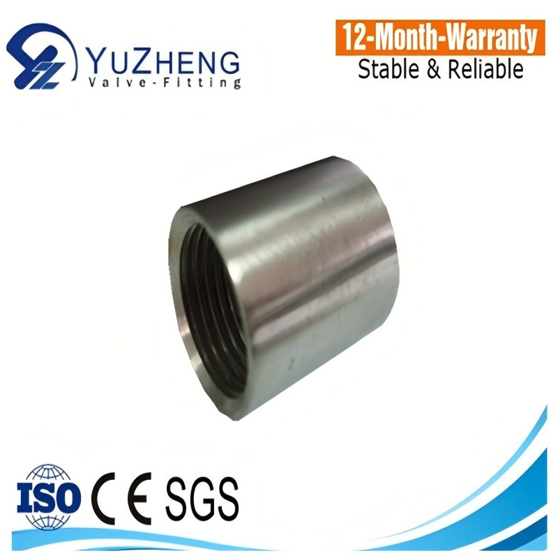 Industry 1/8''-4'' Stainless Steel Thread 316L Coupling