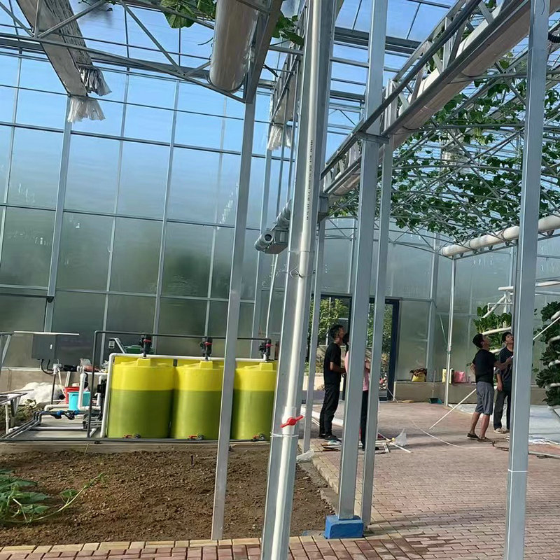 Hydroponic Drip Irrigation System Intelligent Water and Fertilizer Integration Machine for Hydroponics