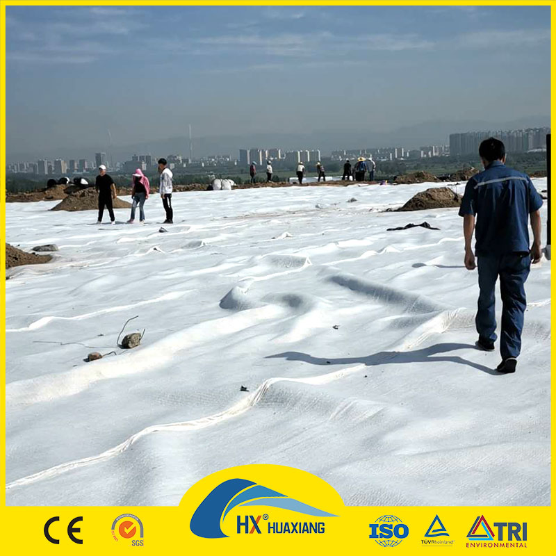 Huaxiang Good Price Road Base Geonet 3D Composite Drainage Geonet Compound Net