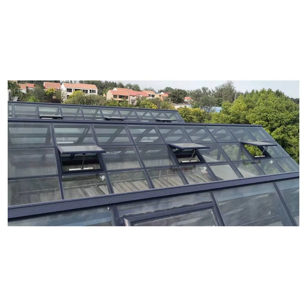 Good Quality Roof Fixed Double Glazed Glass Aluminum Penthouse Skylight for Villa
