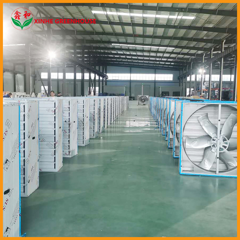 Push-Pull Stainless Steel Exhaust Fan Used in Glass/Plastic/Film/PC Sheet Greenhouse for Cooling System
