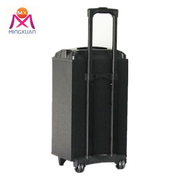 Портативная колонка Bluetooth 10 дюймов с выдвижной ручкой