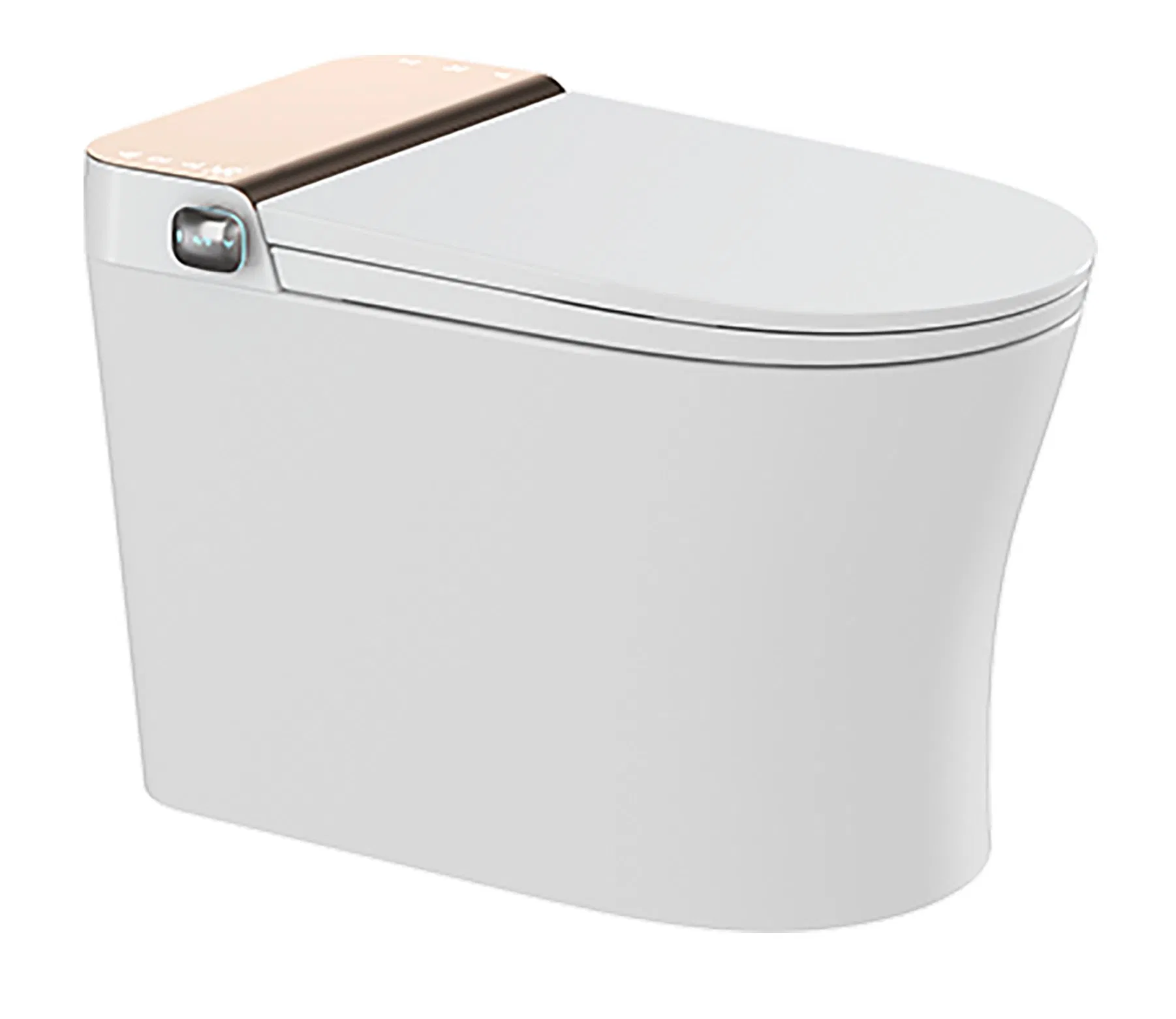 Hot Selling Fashionable Intelligent Toilet