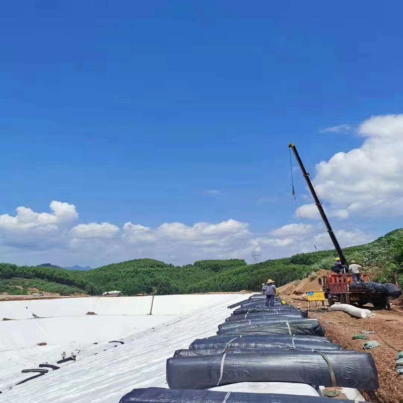 High-Quality LDPE Geomembrane for Durable Water Containment Solutions