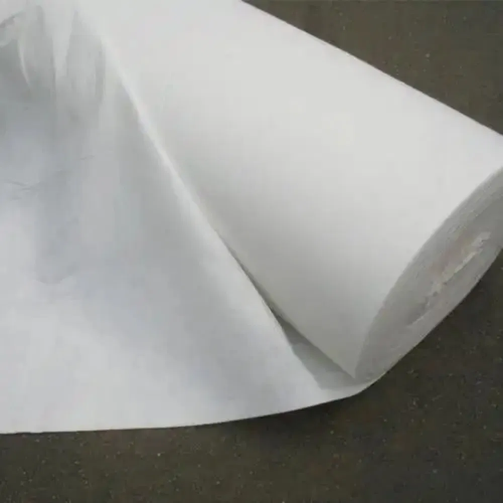 Tr Advanced Needle Punched Geotextile for Soil Filtration and Reinforcement