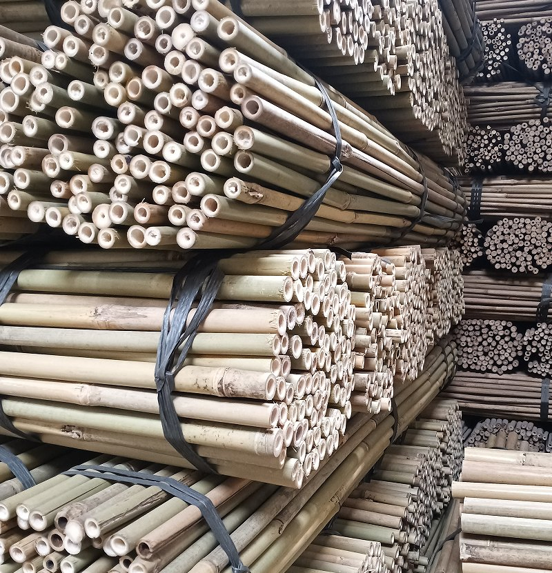 Bamboo Pole Bulk Supplier/Bamboo Plant Support