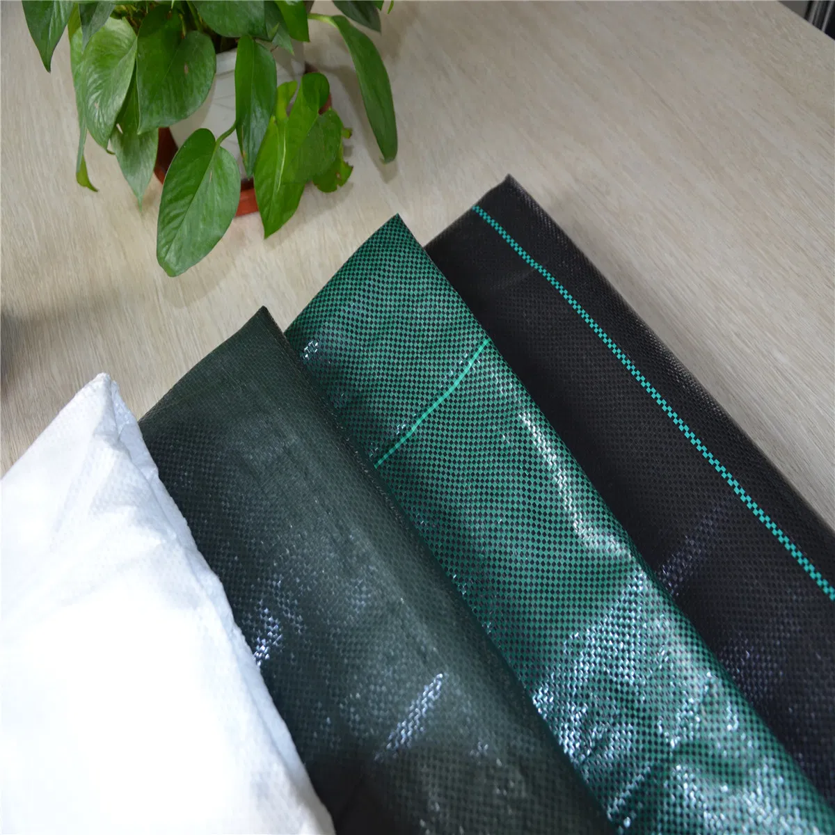Factory Direct Ground Cover Fabric Supplier