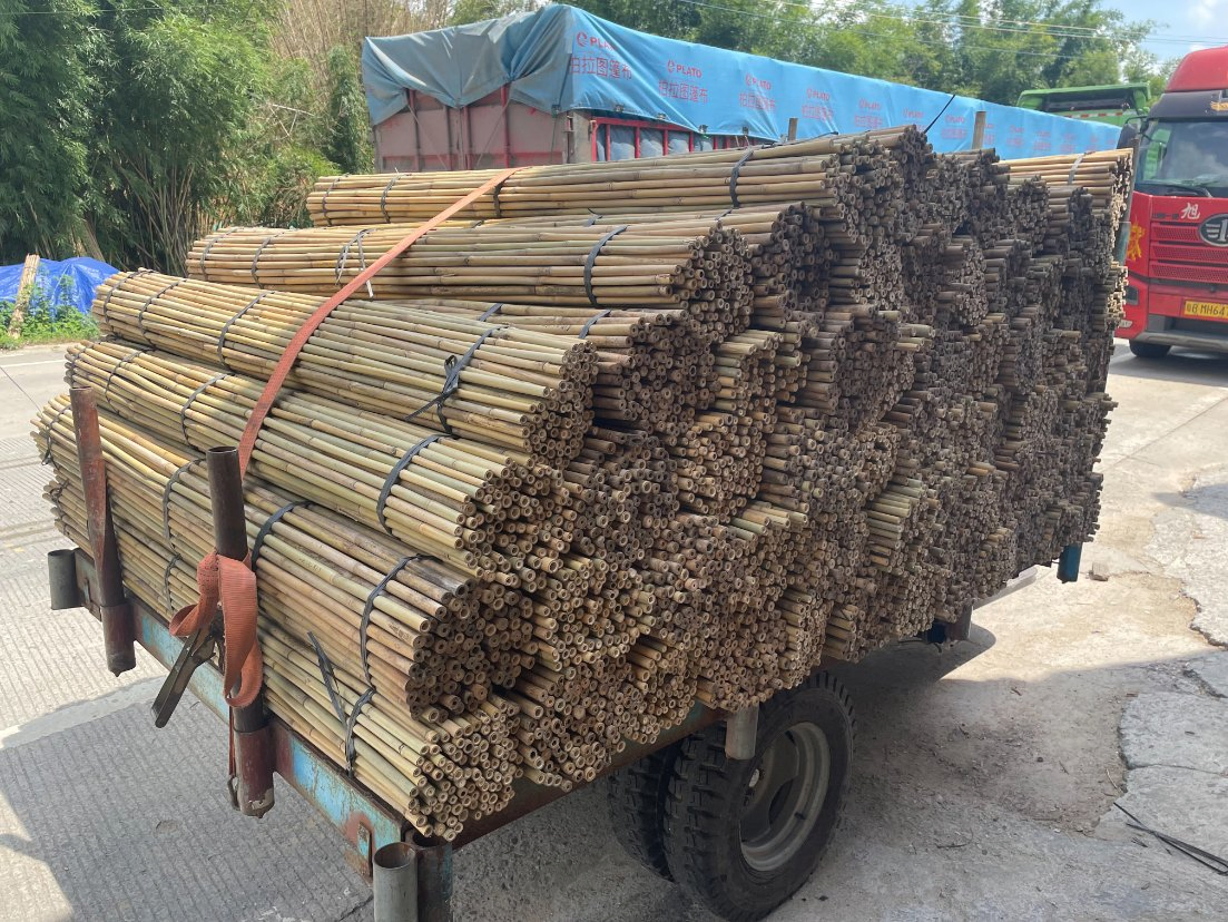 Factory Hot Sale Natural Bamboo Raw Materials Bamboo Pole Cane Stakes for Horticulture Plantation Support