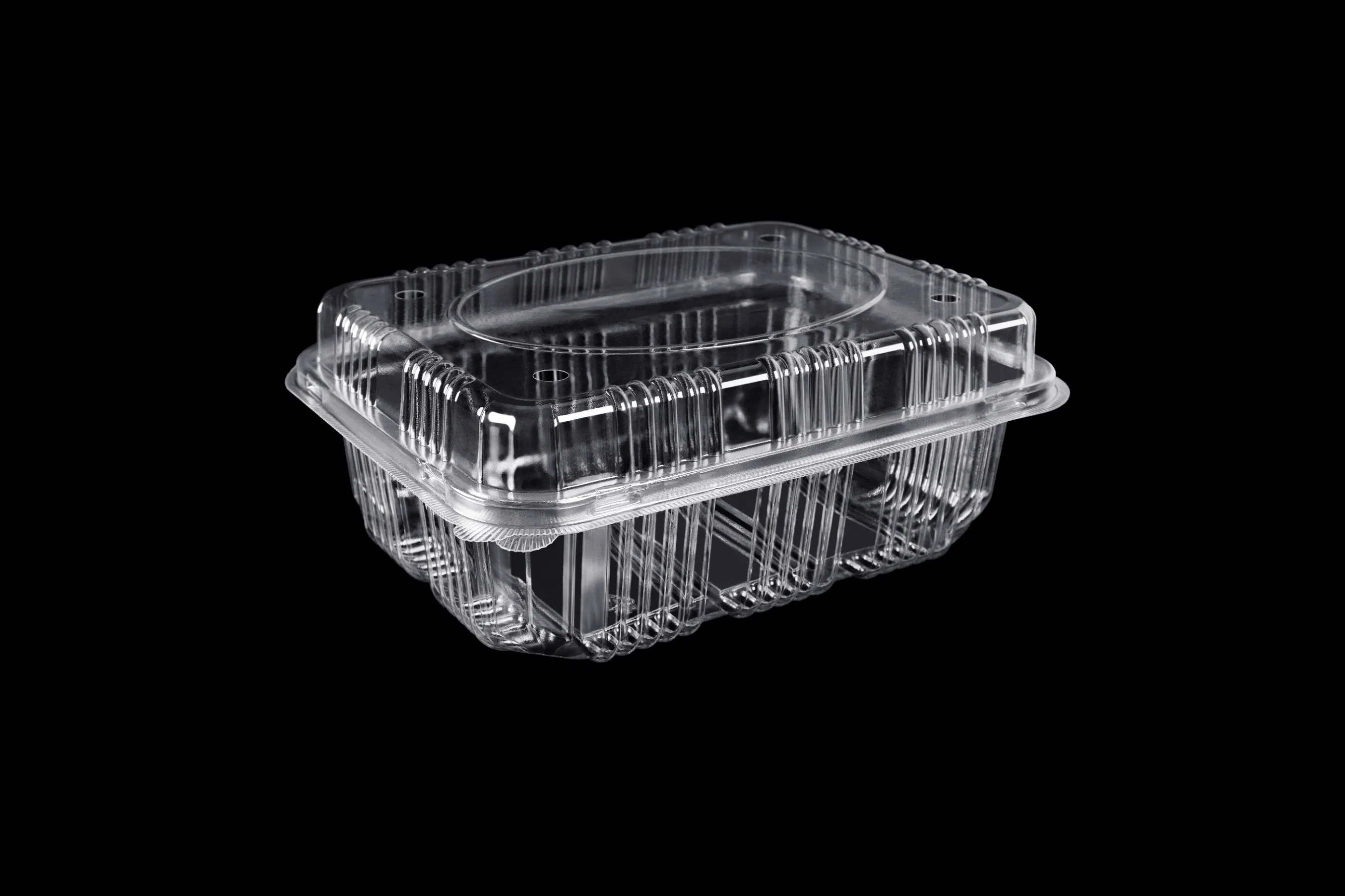Clamshell Blister Packaging Wholesale Transparent Takeout Boxes Plastic Fruit Tray Food Packaging Container