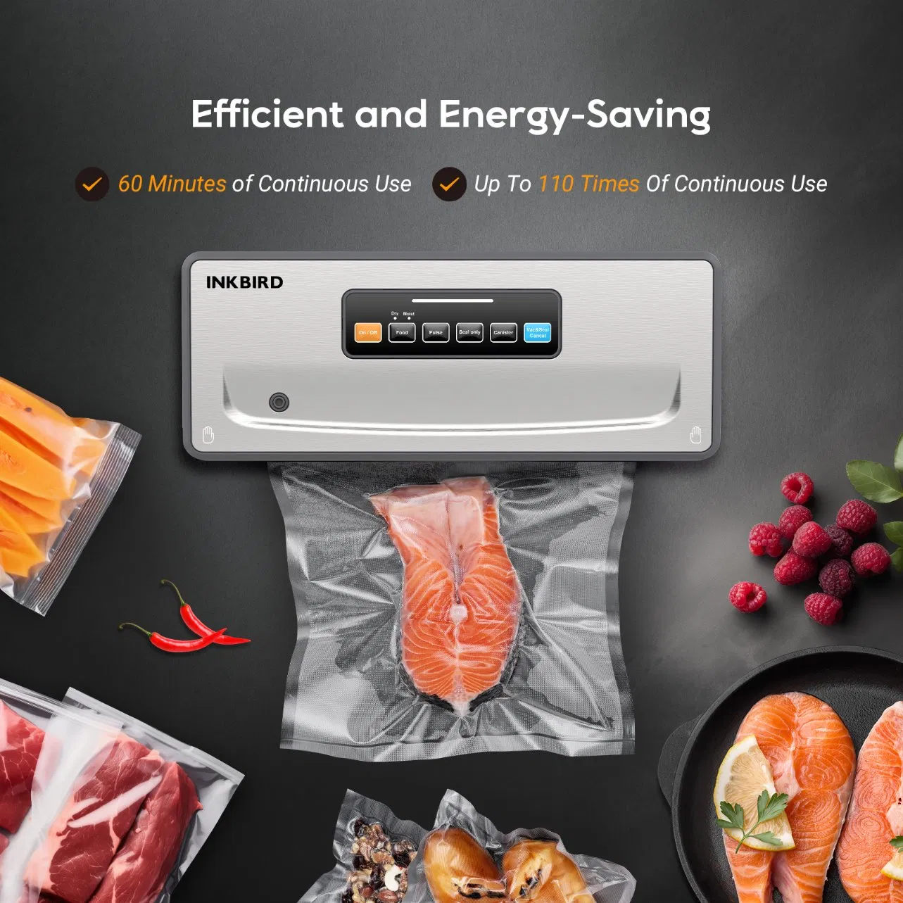 Inkbird Ink-Vs06 Rechargeable Vacuum Sealer Machine with Built-in Cutter