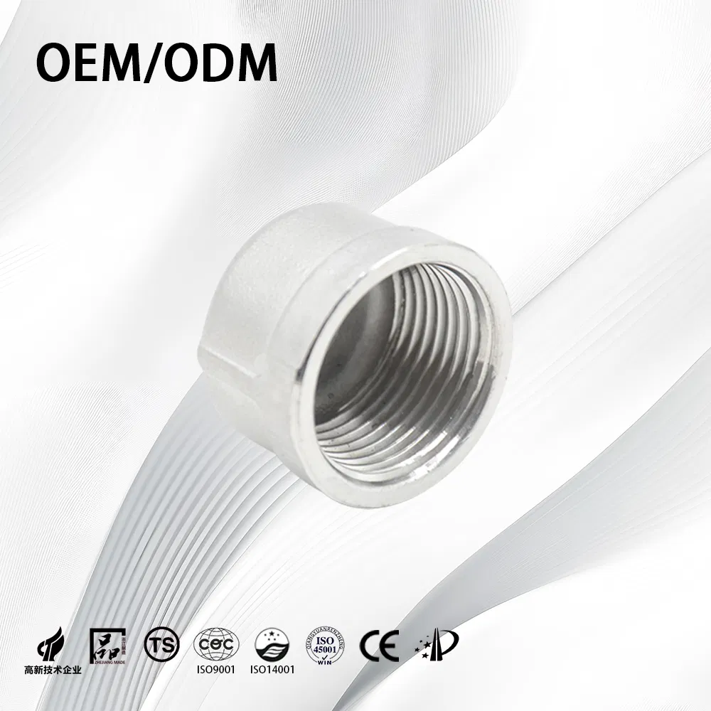 OEM Stainless Steel Corrosion Resistant Female Threaded End Cap for Petroleum