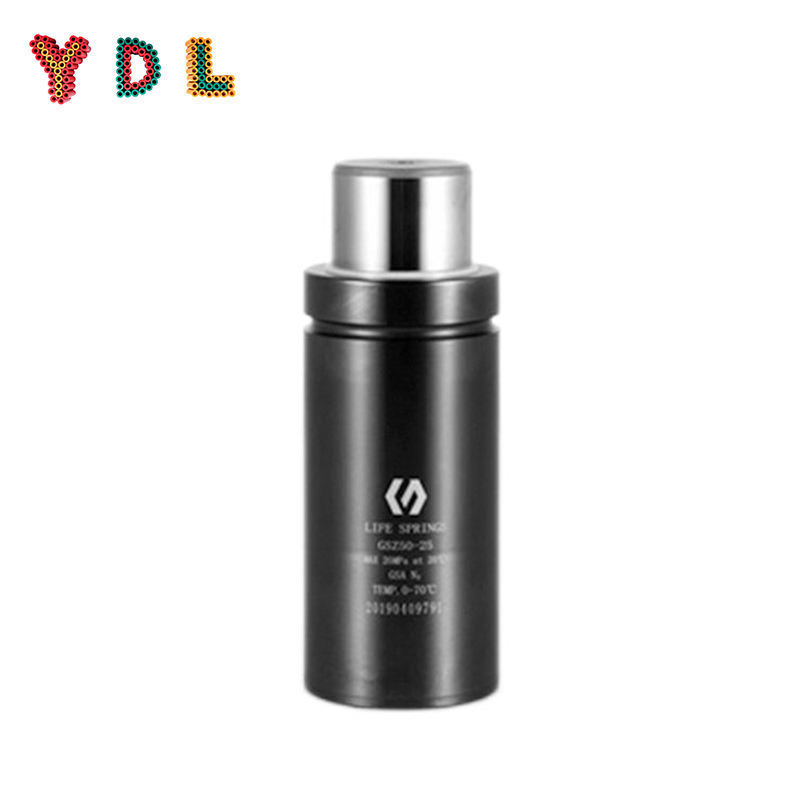 Standard Nitrogen Gas Spring for Stamping Die/Mold Cylinder Spring
