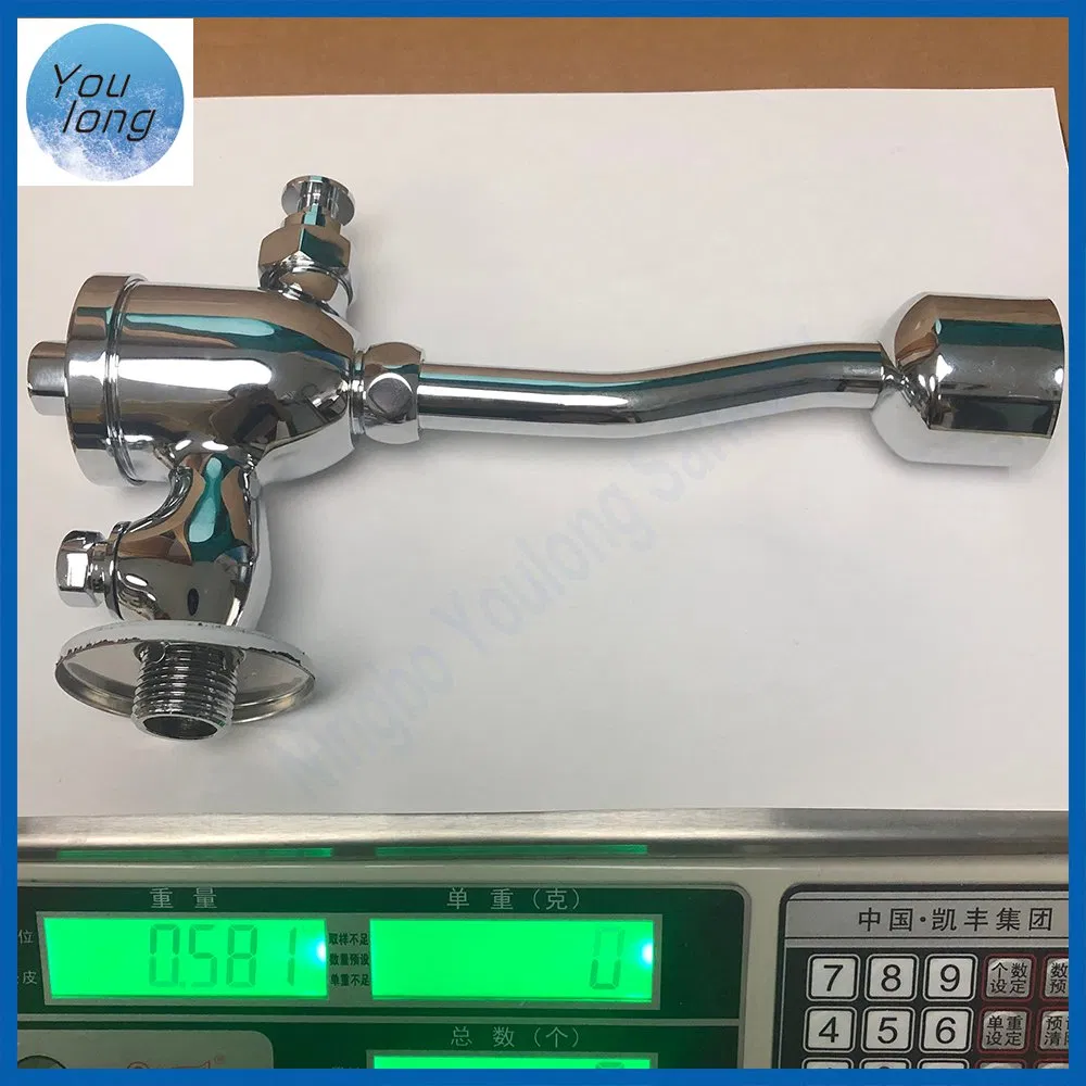 Professional Manufacture Sensor Flushometer Toilet Flush Valve