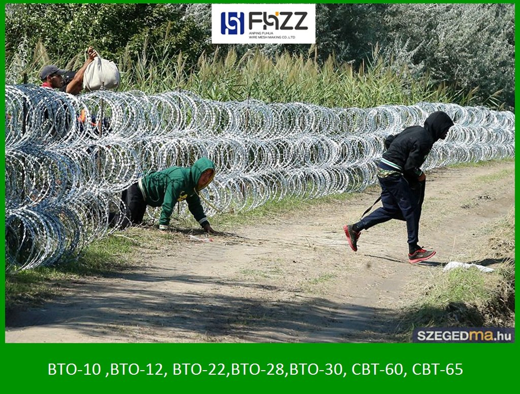 Galvanized Steel Blade Razor Barbed Wire Fencing