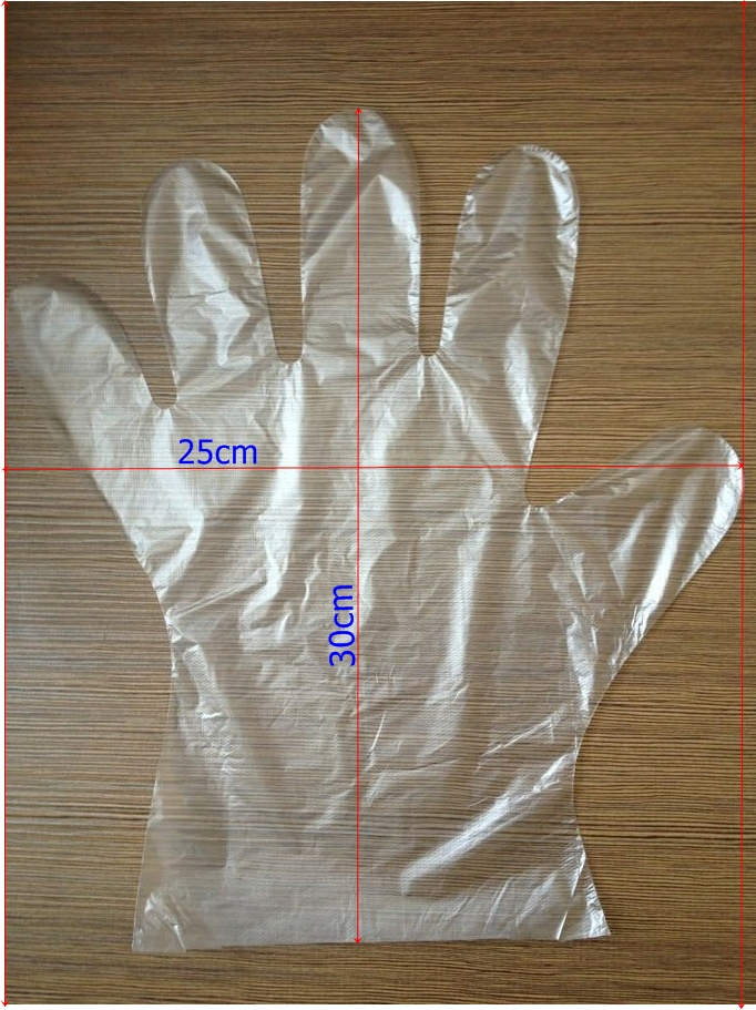Disposable Plastic PE Gloves Kitchen Glove for Food Service