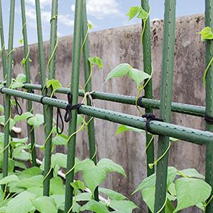 Plastic Coated Metal Flower Plants Trellis for Climbing