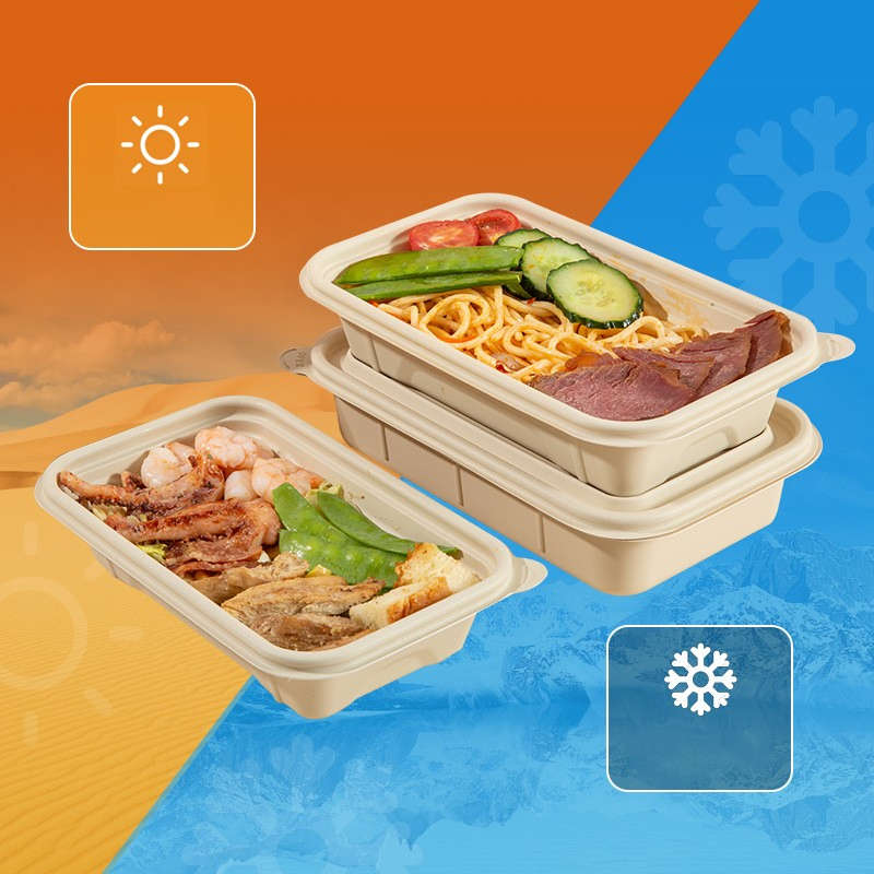 OEM Factory Biodegradable Corn Starch Disposable Lunch Box