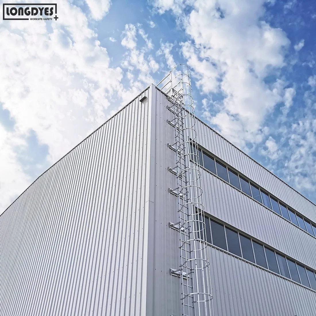 Fixed Vertical Ladder with Safety Cage