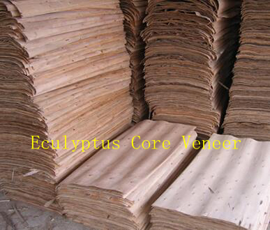 Eucalyptus Core Veneer Board From Uganda for Making Plywood