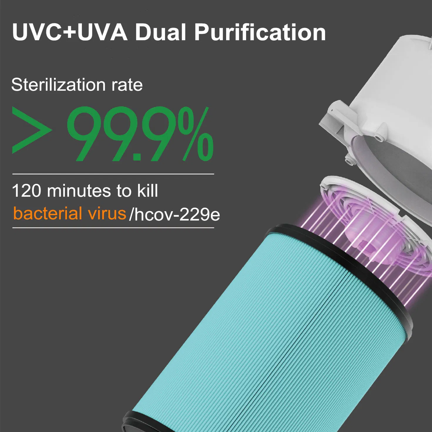 20-35m² Pet Air Purifier with Dual UV Sterilization & 3-Speed Wind