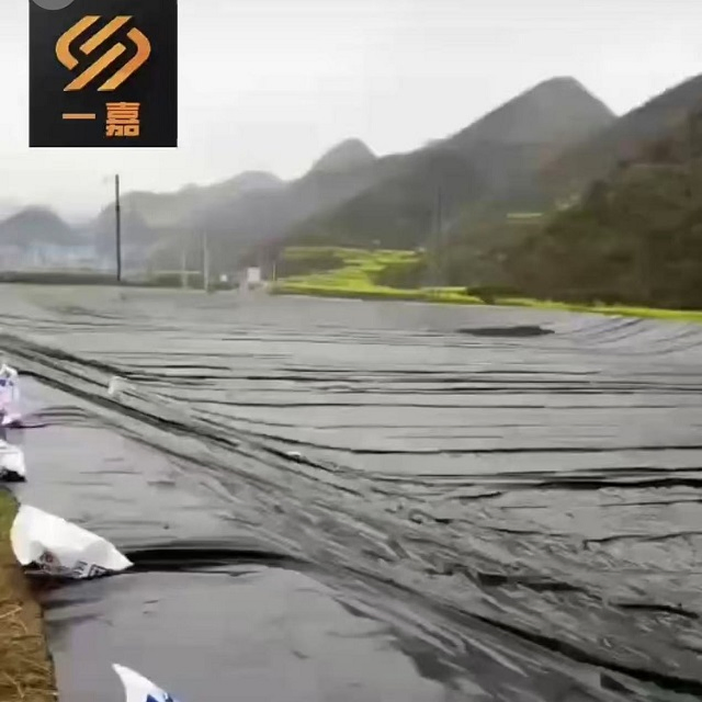 Agricultural Pond Liner Waterproof Smooth Surface HDPE Landfill Geomembrane Liner Pond Liner Geomembranes Price