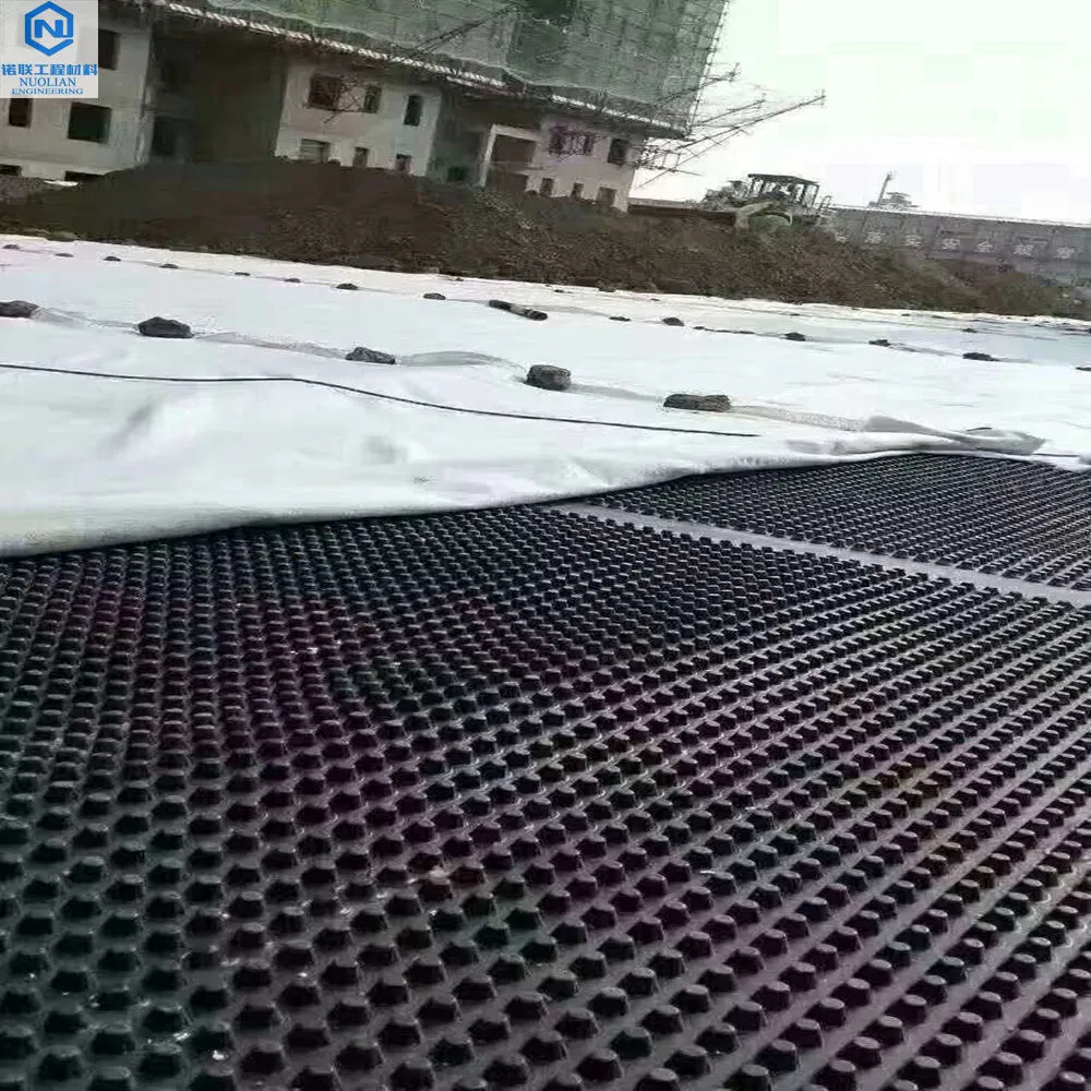 Hot Sale HDPE Drainage Protection Board for Foundation Drain Board