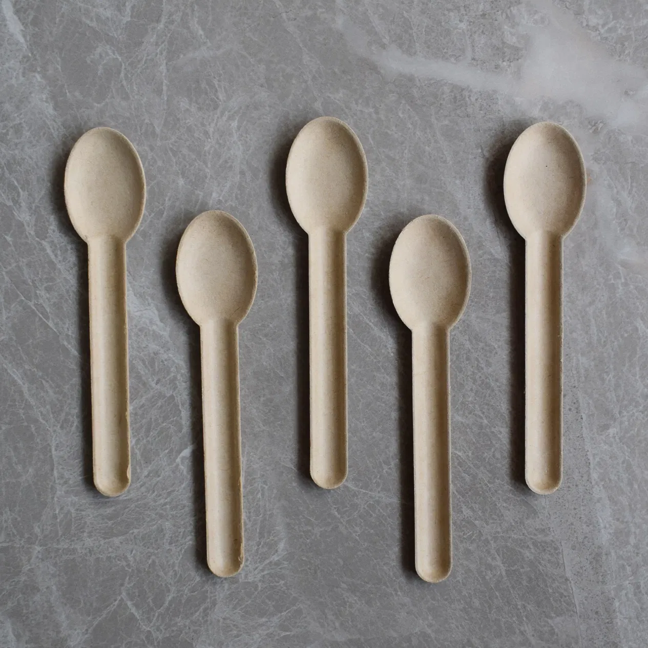 Eco Friendly Disposable Biodegradable Spoon Fork Knife Bagasse Cutlery